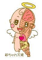 イラスト：筋ちゃん天使