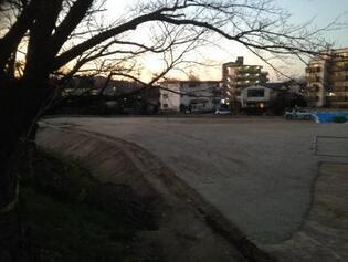 写真：造成工事完了2