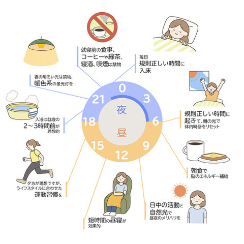 イラスト：一日の生活