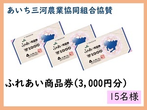 賞品8　あいち三河農業協同組合協賛　ふれあい商品券（3,000円分）　15名様