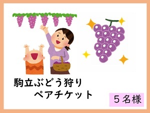 賞品14　駒立ぶどう狩りペアチケット　5名様