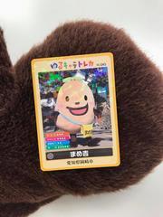 写真：まめ吉トレカ1