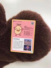 写真：まめ吉トレカ2