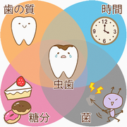 イラスト：むし歯ができる4つの条件