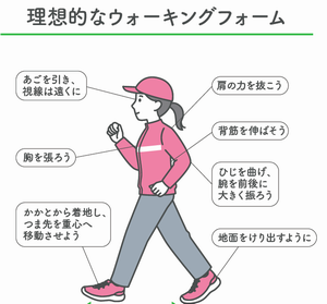 イラスト：理想的なウォーキングフォーム　あごを引き、視線は遠くに　肩の力を抜こう　胸を張ろう　背筋を伸ばそう　ひじを曲げ、腕を前後に大きく振ろう　かかとから着地し、つま先を重心へ移動させよう　地面をけり出すように