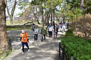 写真：ウオーキング