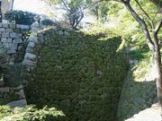 写真：大手南袖