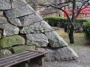 写真：月見櫓台