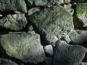 写真：埋門　刻印