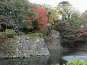 写真：龍城堀