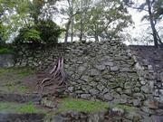 写真：二の丸南東