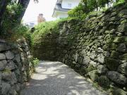 写真：南切通し