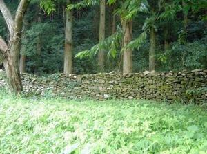 写真：万足平の猪垣1