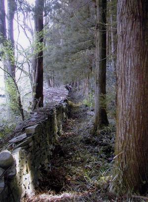 写真：万足平の猪垣3