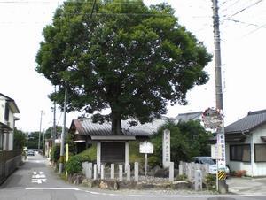 写真：大平一里塚
