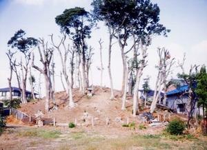 写真：太夫塚古墳