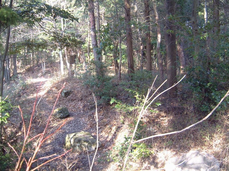 写真：高隆寺跡