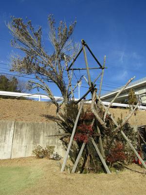 写真：石神のちょうせんがや