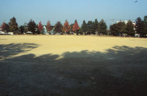 写真：みどり公園運動場1