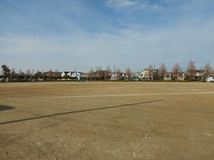 写真：三百田公園運動場1