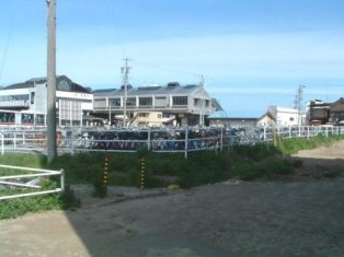 写真：駅前広場　整備前4