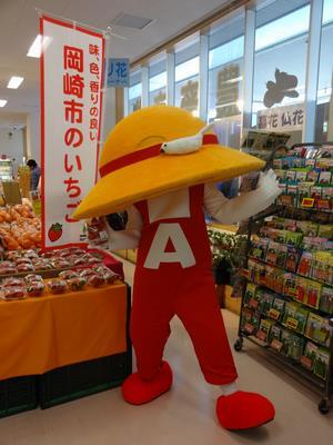 写真：オカボー