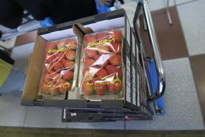 写真：平成30年2月2月15日 イチゴ即売会1