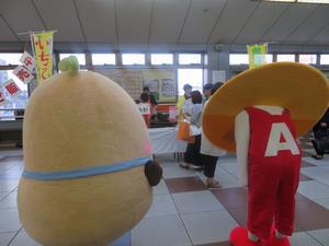 写真：平成30年3月15日 イチゴ即売会2