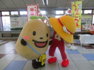 写真：平成30年3月15日 イチゴ即売会3