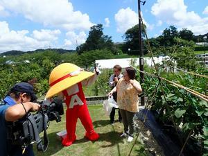 写真：平成30年 オカボーと学ぼー1