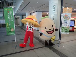 写真：平成30年 やさいの日3