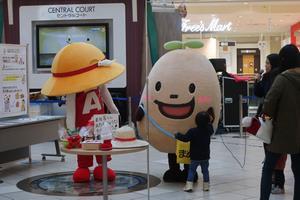 写真：平成30年 まめ吉誕生日1