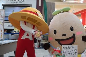 写真：平成30年 まめ吉誕生日2