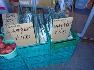 写真：平成31年 法性寺ねぎフェア2