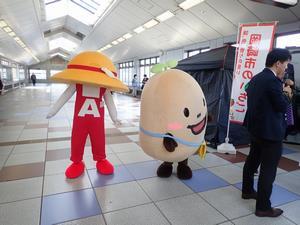 写真：平成31年 いちごフェア1