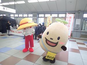 写真：平成31年2月15日 いちご即売会1