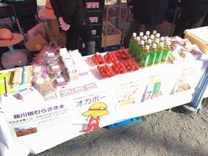 写真：平成31年 ご当地キャラ大集合in岡崎公園1