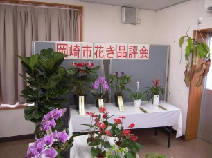 写真：花き品評会