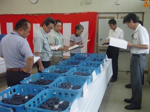 写真：ぶどう品評会