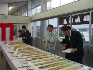 写真：自然薯品評会