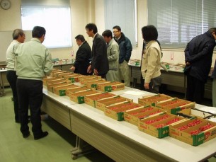 写真：いちご品評会