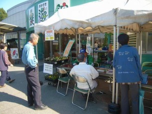 写真：相談会風景その2