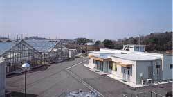 写真：育苗施設