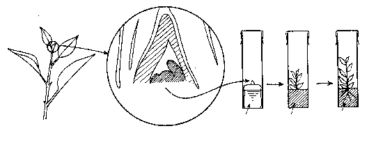 イラスト：作業流れ図