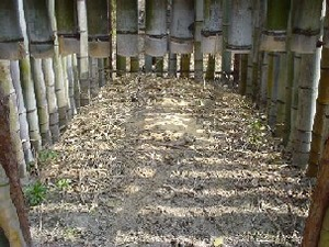 写真：檻の内部