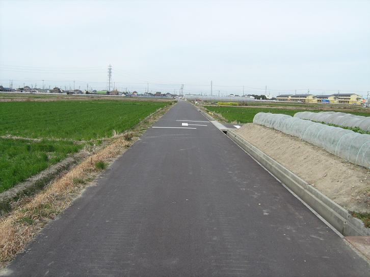 写真：農道舗装