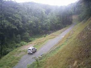 写真：林道