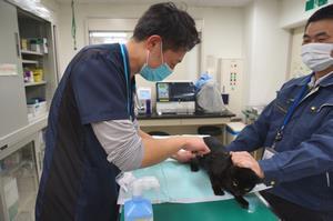 写真：手嶋さんの業務姿