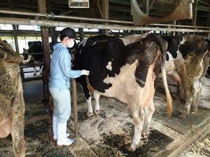 写真：廣瀬さんの業務姿