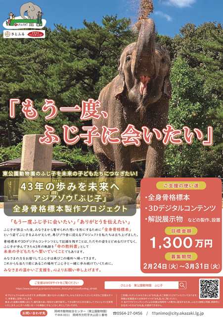 写真：アジアゾウ「ふじ子」全身骨格標本製作プロジェクト